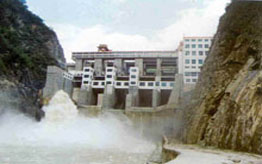 䰸